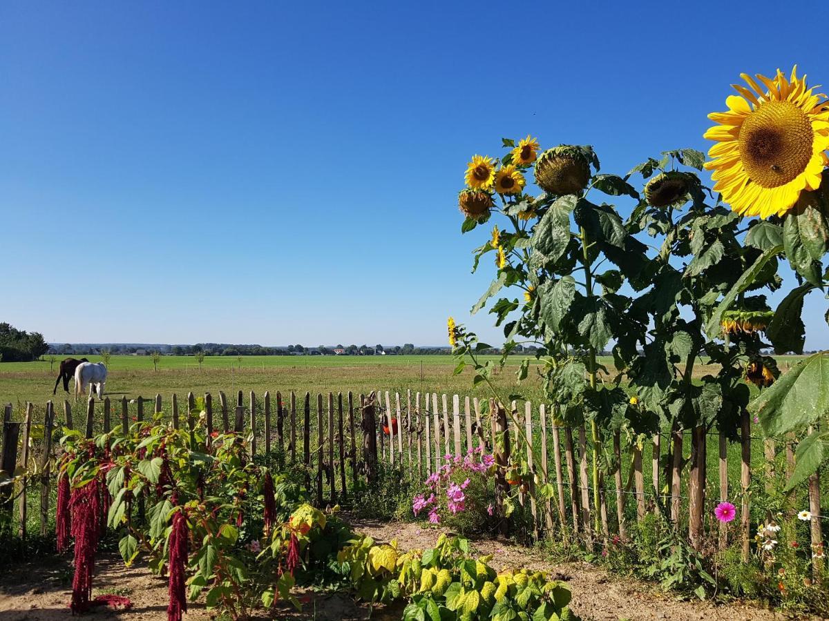 Heimatliebe Ferienwohnung Бергеренде-Ретвіш Екстер'єр фото