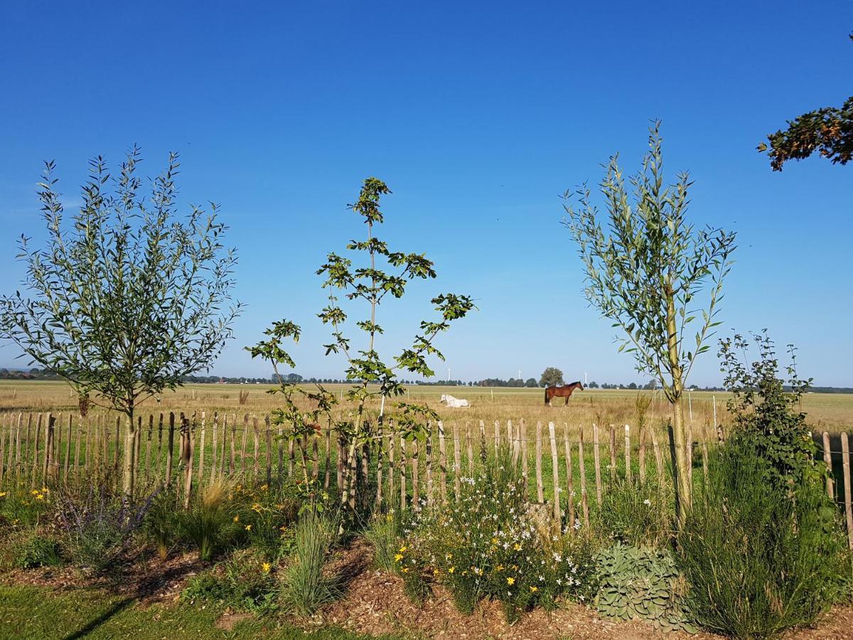 Heimatliebe Ferienwohnung Бергеренде-Ретвіш Екстер'єр фото
